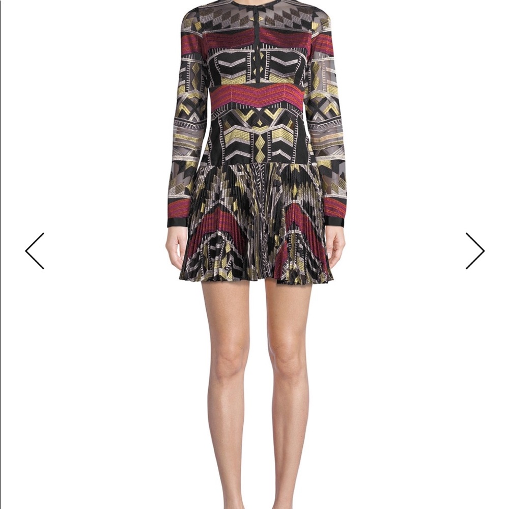 Alexis Nalory Pleated Long-Sleeve Embroidered Mini